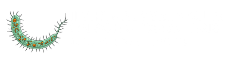 Schisto Symposium Logo
